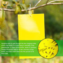 Load image into Gallery viewer, Double Sided Yellow Sticky Trap For Flying Insects
