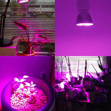 Load image into Gallery viewer, 220 V LED Full Spectrum Plant grow light
