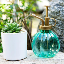 Load image into Gallery viewer, Vintage Brass Plant Flower Spray Bottle
