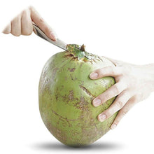 Load image into Gallery viewer, Stainless Steel Coconut Opener Tool
