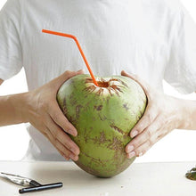 Load image into Gallery viewer, Stainless Steel Coconut Opener Tool

