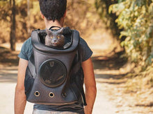 Load image into Gallery viewer, The Fat Cat BackPack For Larger Cats
