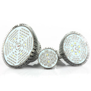 220 V LED Full Spectrum Plant grow light