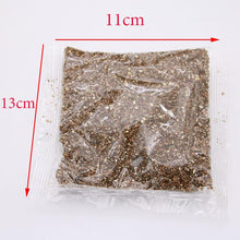 Load image into Gallery viewer, Special Nutrition Soil Bean
