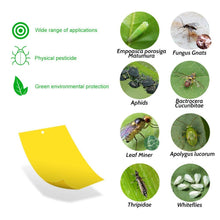 Load image into Gallery viewer, Double Sided Yellow Sticky Trap For Flying Insects
