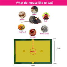 Load image into Gallery viewer, Mouse Rat Sticky Glue Traps
