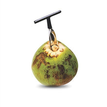 Load image into Gallery viewer, Stainless Steel Coconut Opener Tool
