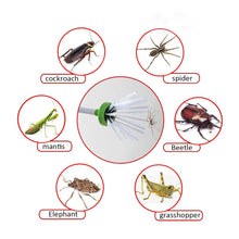 Load image into Gallery viewer, Insect Catcher
