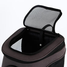 Load image into Gallery viewer, The Fat Cat BackPack For Larger Cats
