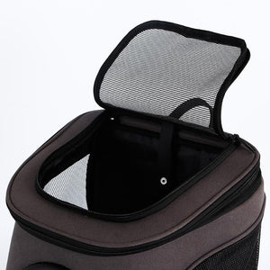 The Fat Cat BackPack For Larger Cats