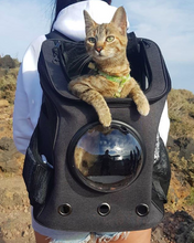Load image into Gallery viewer, The Fat Cat BackPack For Larger Cats
