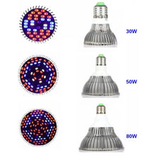 Load image into Gallery viewer, 220 V LED Full Spectrum Plant grow light
