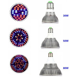 220 V LED Full Spectrum Plant grow light