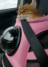Load image into Gallery viewer, The Fat Cat BackPack For Larger Cats
