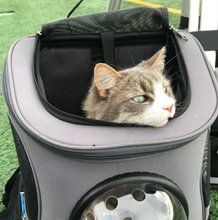 Load image into Gallery viewer, The Fat Cat BackPack For Larger Cats
