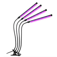 Load image into Gallery viewer, Grow Lights for Indoor Plants
