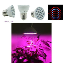 Load image into Gallery viewer, Grow Lights for Indoor Plants
