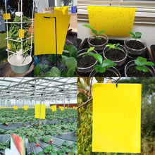 Load image into Gallery viewer, Double Sided Yellow Sticky Trap For Flying Insects
