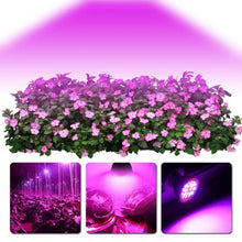 Load image into Gallery viewer, 220 V LED Full Spectrum Plant grow light
