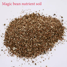 Load image into Gallery viewer, Special Nutrition Soil Bean
